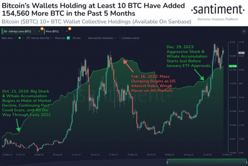 
			Биткоин (BTC) повторяет паттерны бычьего рынка 2015 года		