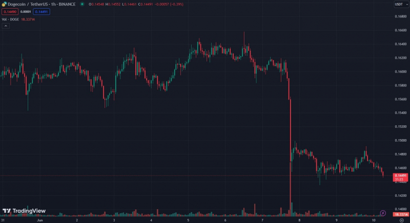 
			CEO Ripple раскритиковал Dogecoin и назвал его активом для спекуляций		