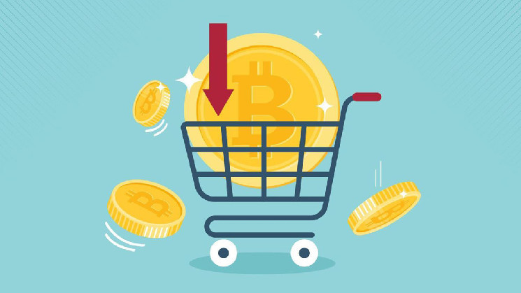 
			Портфель биткоинов Metaplanet превысил отметку в 1&nbsp;000 монет		