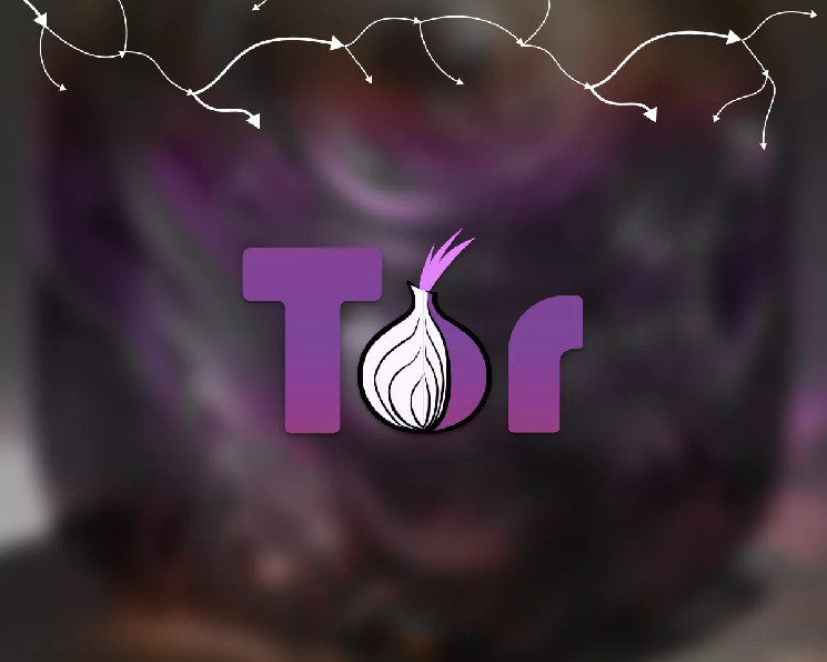 
			Силовики захватили даркнет? Эксперты об анонимности браузера Tor&nbsp;		