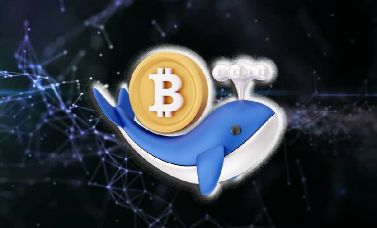 
			В Arkham рассказали о давлении на цену BTC		