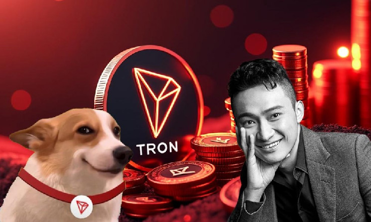 
			Messari: мемкоины подняли доход сети Tron до&nbsp;нового максимума в&nbsp;третьем квартале		