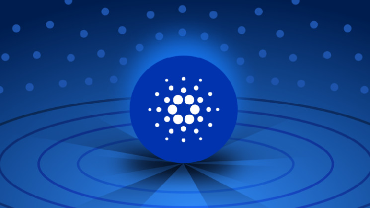 
			Оснаватель Cardano встречается с создателем Stellar Джедом Маккалебом		