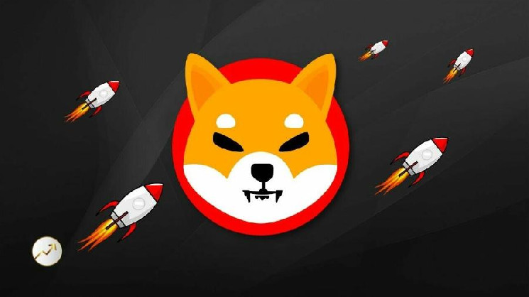 
			Shiba Inu: В 2025 году криптовалюта SHIB войдет в суперцикл		
