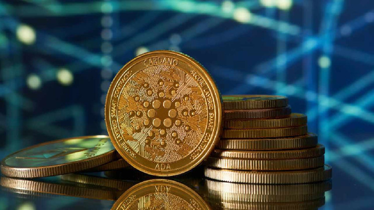 
			ADA Паника: Иск от SEC и слухи о сжигании монет потрясли сообщество Cardano		