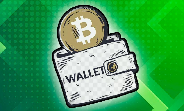 
			Численность биткоин-кошельков с балансом менее 1 монеты растет		