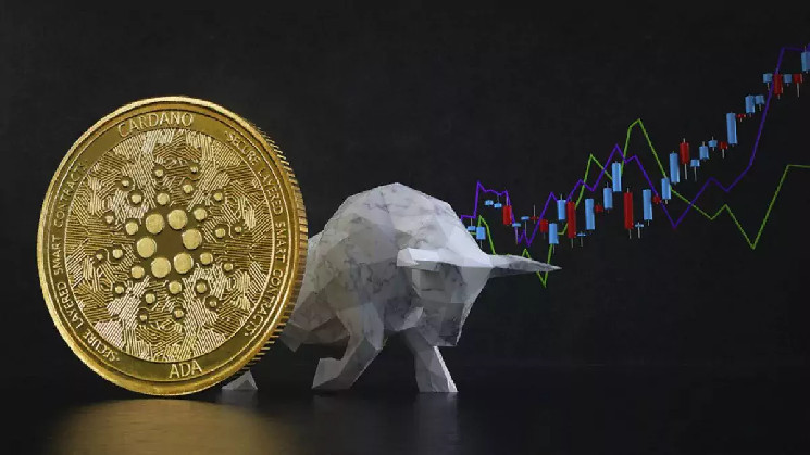 
			Эксперт прогнозирует повышение цены Cardano до $10		