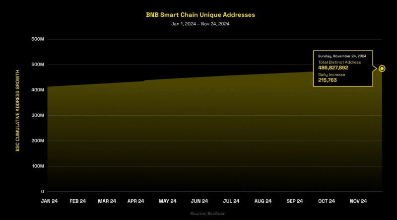 
			Команда BNB Chain представила отчет за 2024 год		