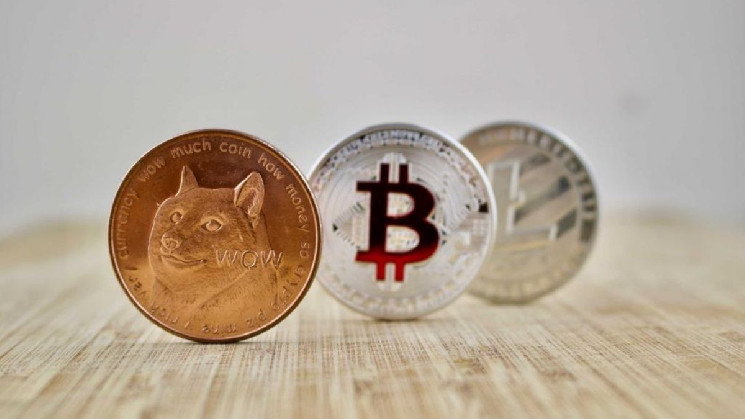 
			Майнинг Dogecoin и Litecoin оказался прибыльнее добычи биткоинов		