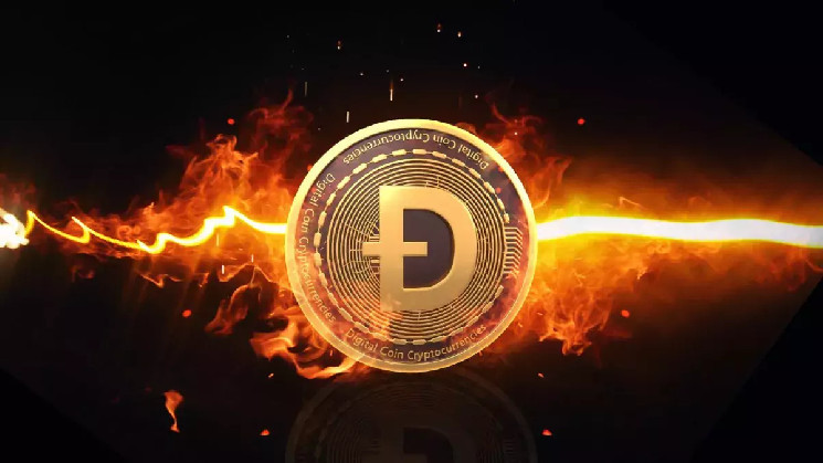 С начала года криптокиты накопили на кошельках 1 млрд Dogecoin