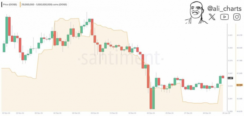 С начала года криптокиты накопили на кошельках 1 млрд Dogecoin