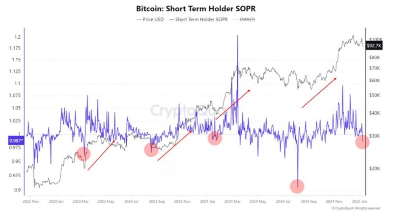 
			В CryptoQuant зафиксировали сигнал &laquo;покупай на падении&raquo; в биткоине		