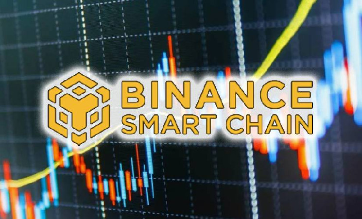 
			BSC взлетает после поддержки CZ		