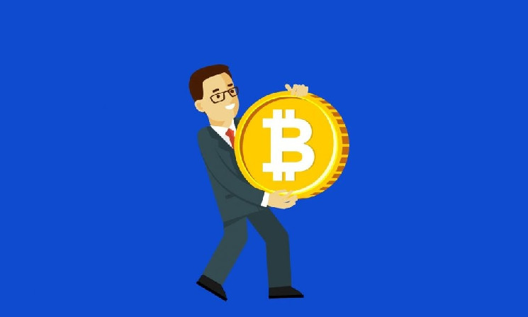 
			Hive удваивает ставку на&nbsp;BTC HODL на&nbsp;фоне размывания капитала майнеров и&nbsp;зависимости от&nbsp;долга		