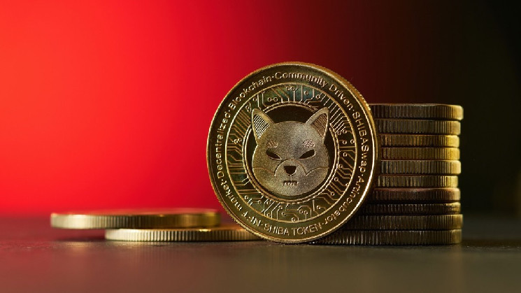 Все владельцы Shiba Inu могут быть спокойны: SHIB — их биткоин