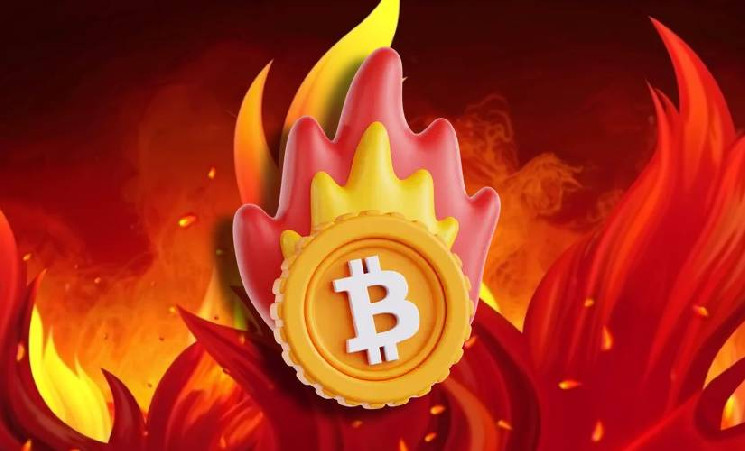 
			Разработчик предложил сжечь некоторые BTC		