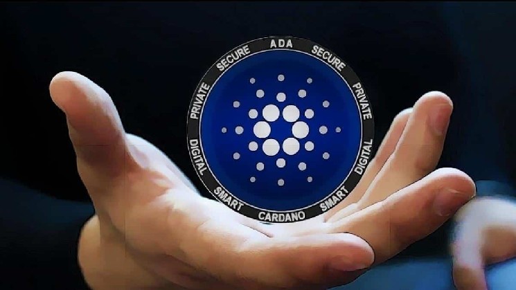 
			zkFold запускает Web2-кошелёк для Cardano		