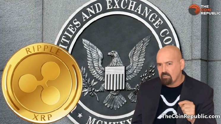 
			Эксперты рассказывают, что Ripple и SEC должны сделать для нового решения		