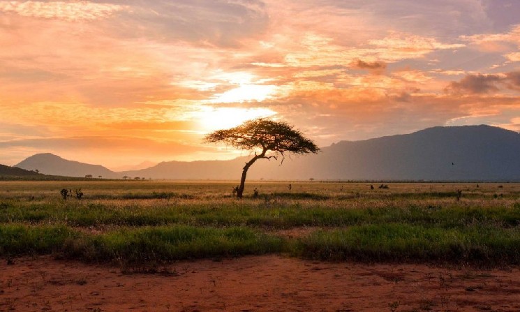 Hedera Africa Hackathon стартовал с призовым фондом в $1 млн и фокусом на Web3