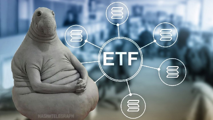 
			Franklin Templeton и Fidelity подали обновленные заявки на Solana-ETF &mdash; одобрение через 2-4 месяца		