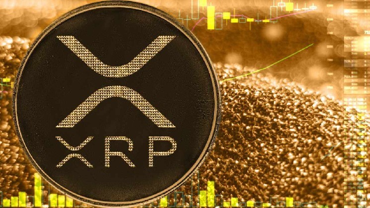 
			XRP имеет привилегированную роль на XRPL, главный технический директор Ripple объясняет ключевые преимущества		
