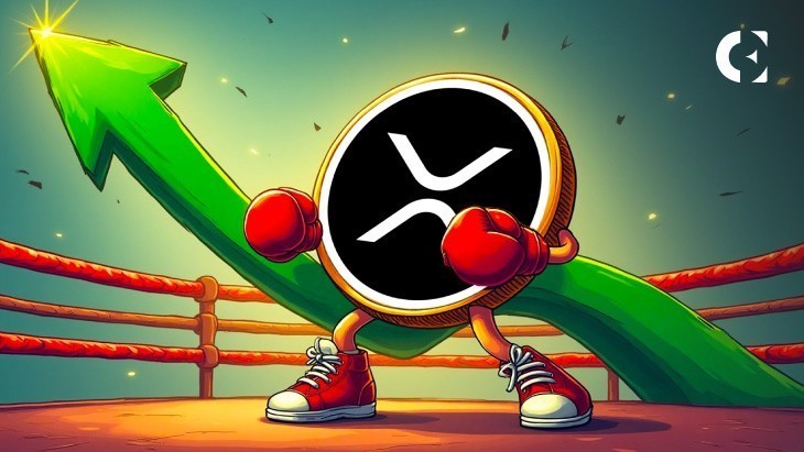 
			Сколько будет стоить 1000 XRP к 2026 году? Ежедневный обзор альткоинов		
