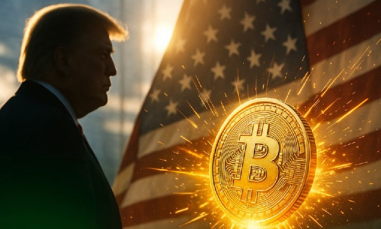 
			Связанная с&nbsp;Трампом American Bitcoin привлекла $220&nbsp;млн на&nbsp;майнинг и&nbsp;казначейство		