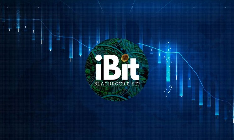 Биткоин-фонд BlackRock зафиксировал самый большой отток средств за 9 недель