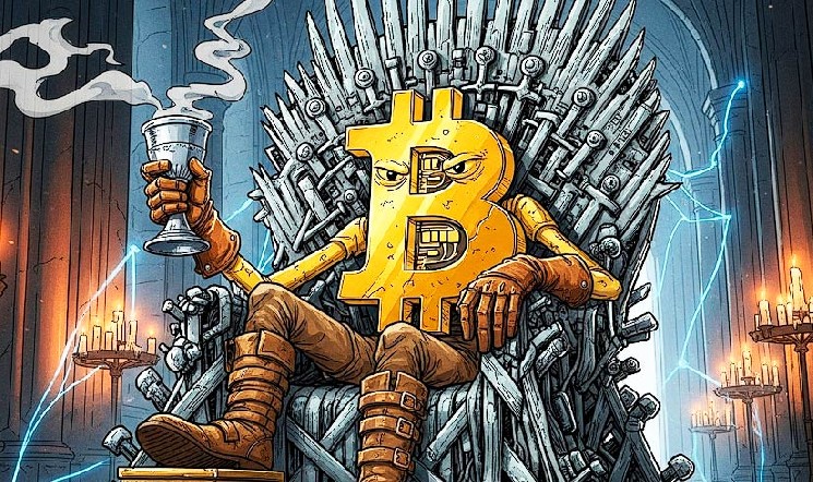 
			Майк Макглоун: будущее Bitcoin в роли независимого актива пока неопределено		