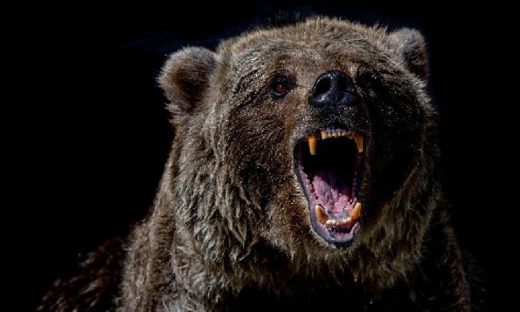 
			Цена Ethereum сильно упала &mdash; риск дальнейшего снижения		