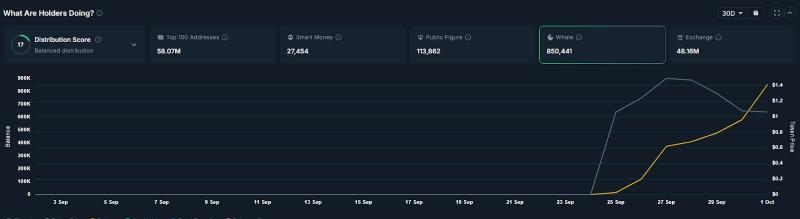 
			Инвестор Machi&nbsp;Big&nbsp;Brother потерял $53&nbsp;млн на&nbsp;позиции в&nbsp;токене XPL		