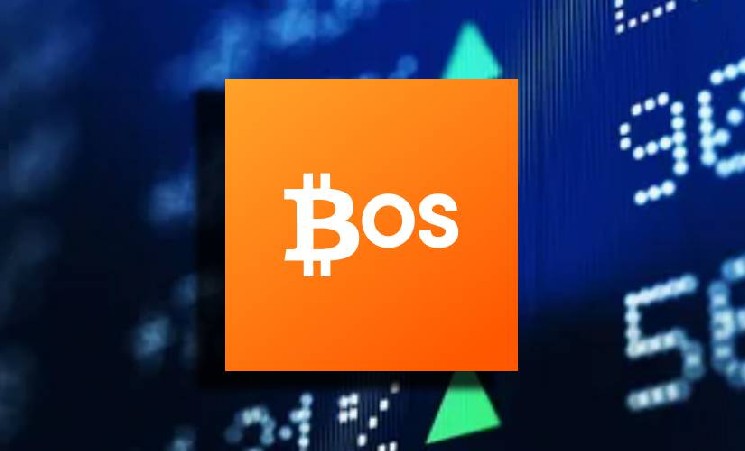 
			Стартап BitcoinOS получил от инвесторов $10 млн для расширения институциональных BTCFi-решений		