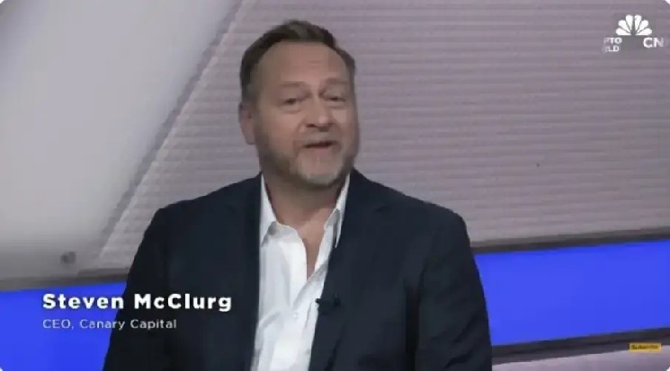 
			Стивен Маккларг назвал способный конкурировать с Уолл-стрит блокчейн		