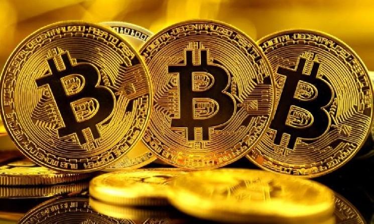 
			ZK Casino начинает частичную выплату по затянувшемуся делу о мошенничестве на сумму 33 миллиона долларов		