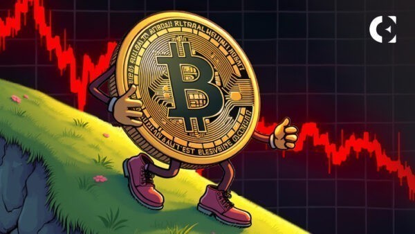 VanEck отмечает рост волатильности биткоина и снижение данных в блокчейне
