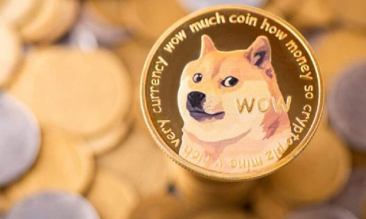 CZ раскрывает свой прогноз по поводу выживания Dogecoin в Давосе