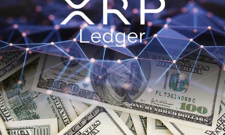 
			XRP Ledger запустил DEX для&nbsp;регулируемых организаций		