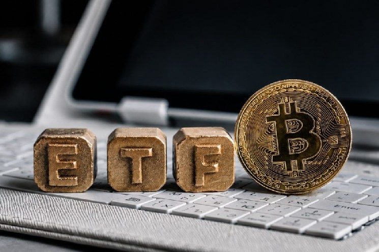 
			Руководитель компании Trezor утверждает, что спотовые ETF на биткоин и альткоины представляют долгосрочные риски		